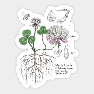 White Clover Botanical - tan Sticker